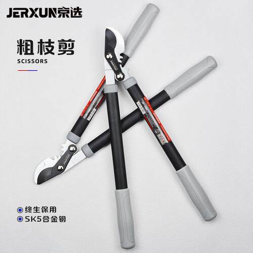 德国进口花艺灌木修剪专用粗枝修枝剪刀果树枝园林省力大花剪工具