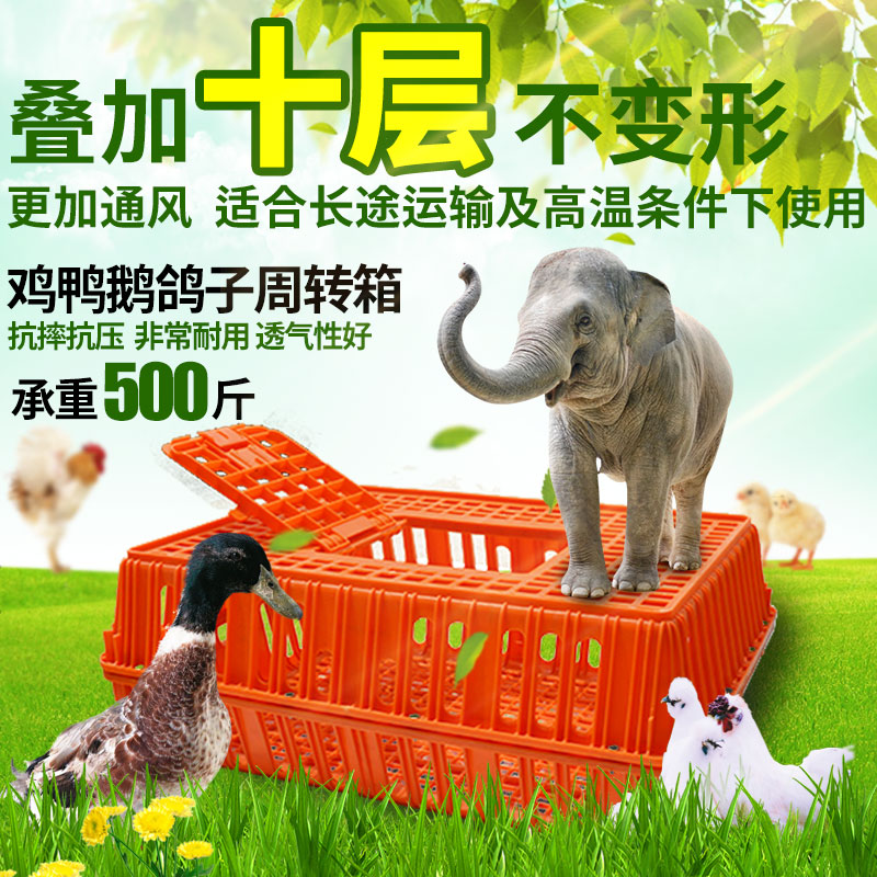 鸡笼周转箱成小鸡鸭鹅鸽兔运输笼鸡用周转筐塑料长方形鸡框运输箱