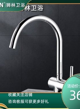 狮林全铜加厚个性厨房水龙头冷热创意洗菜盆洗碗盆水槽龙头单把