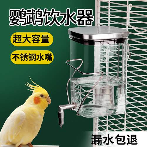 蜜袋鼯撞针水壶龙猫自动喂水器花枝鼠兔子鹦鹉玻璃饮水器静音出水