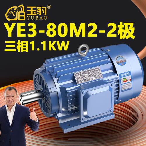 80M2-2极全新YE3系列三相异步马达国标1.1KW电机380V三相全铜