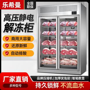 高压静电解冻柜商用低温冷藏缓化大容量猪羊牛肉抑菌化冻机排酸柜