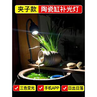 变焦鱼缸灯古法养鱼陶瓷原生溪流缸补光灯水族观赏照明led水草灯