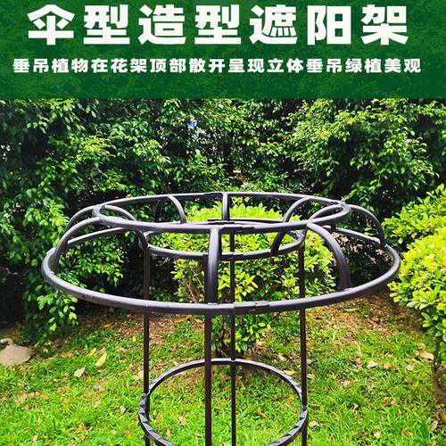 金银花爬藤架拼接式伞形攀爬架子月季爬藤架园艺植物爬藤花架实用