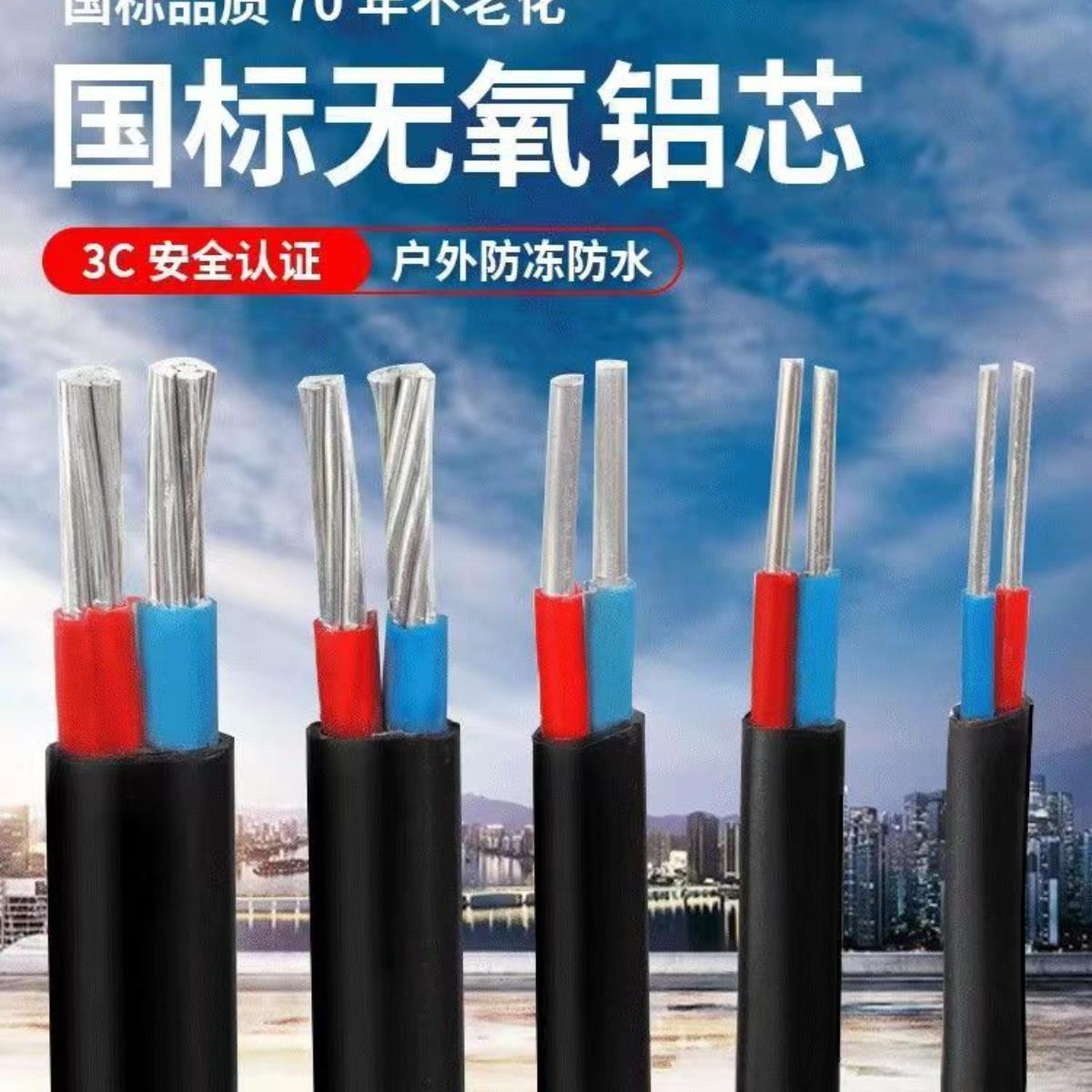 国标2芯铝芯家用户外电缆线电线4 6 10 16 25双芯铝线护套线