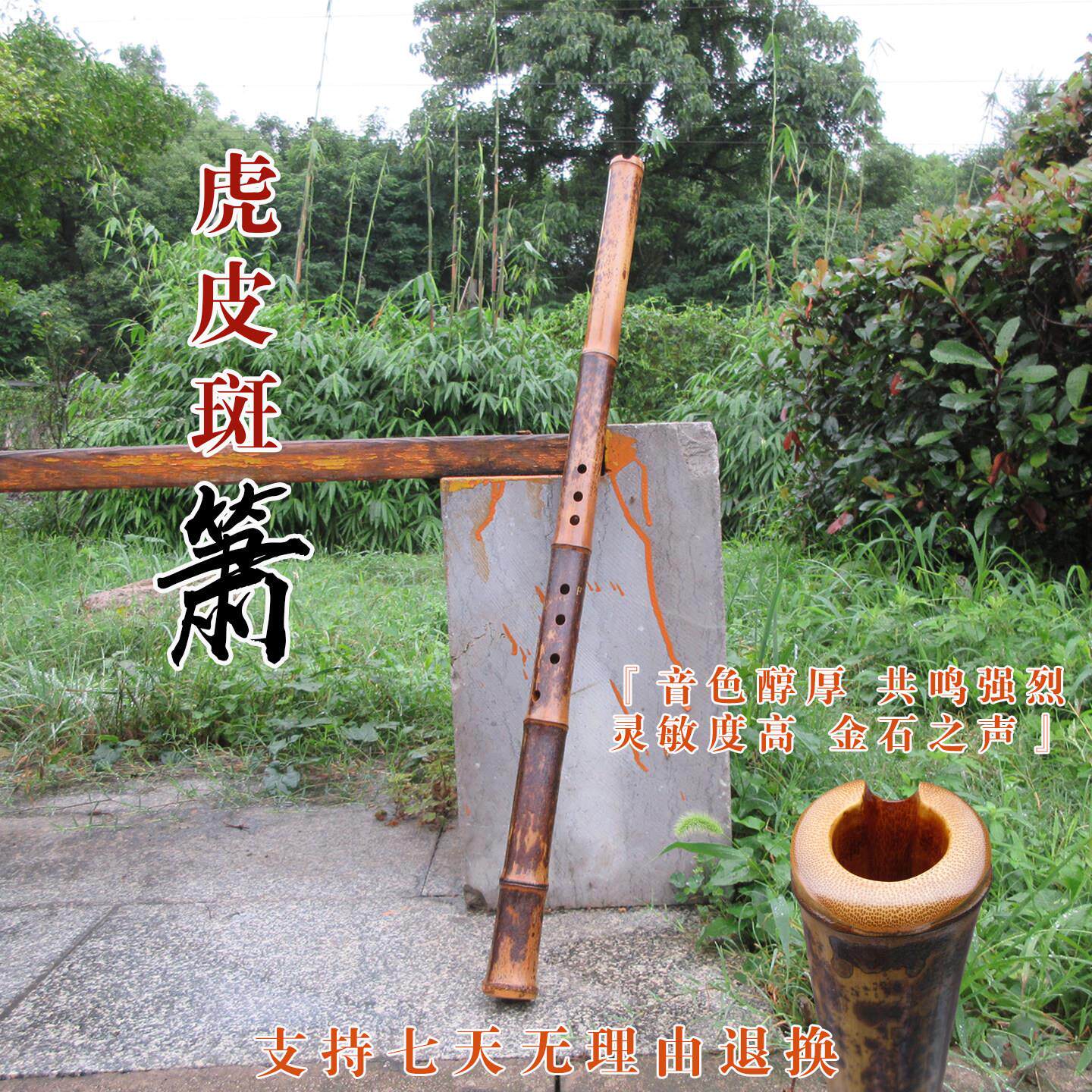 梅妃竹洞箫湘妃竹洞箫紫竹洞箫萧乐器专业演奏洞箫初学者洞箫
