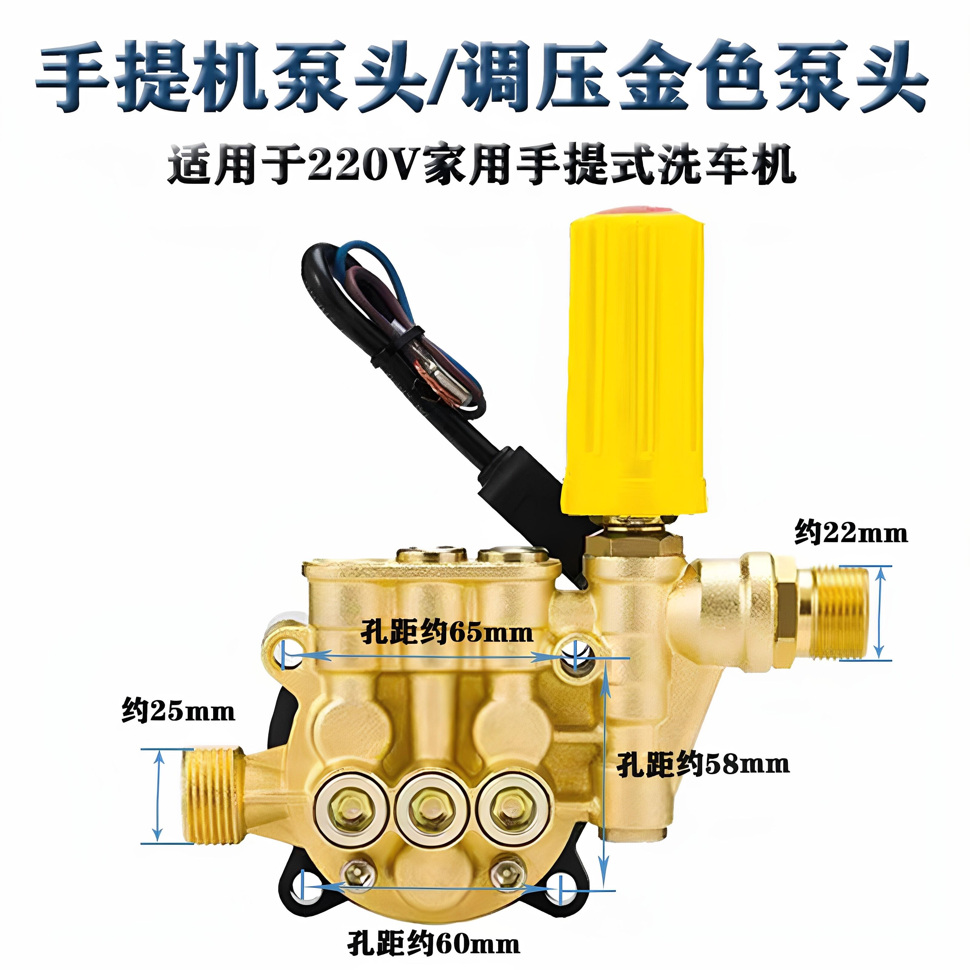 欧之韵家用高压洗车机手提式清洗机压头洗车器配件220V调压水泵