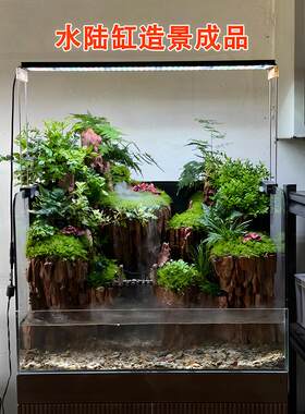 苔藓微景观水陆缸植物造景成品摆件桌面超白鱼缸玻璃缸生态缸全套