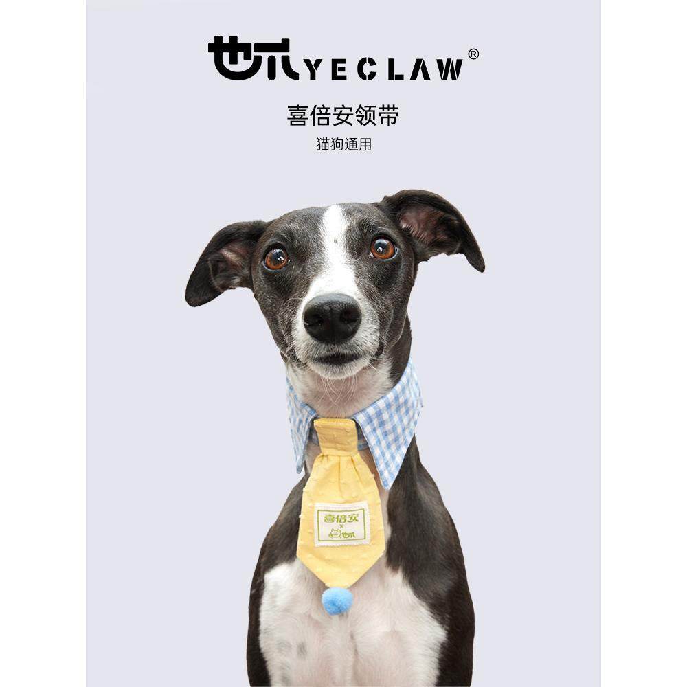 它也是爪X Xibian宠物唾液毛巾，狗唾液毛巾，猫围嘴，生日礼服，,宠物/宠物食品及用品,围巾/口水巾,淘宝优惠券,粉丝福利购,淘宝优惠卷