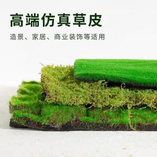 彷真苔藓草皮彷生人造假青苔微景观布置绿植草坪盆栽园林景观植被