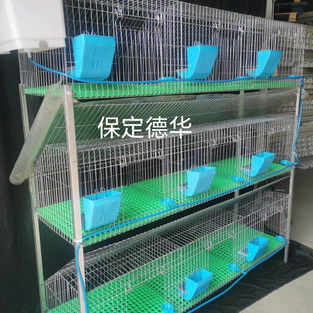 兔笼子母笼9位12位免清粪新式兔笼养殖笼加粗加密