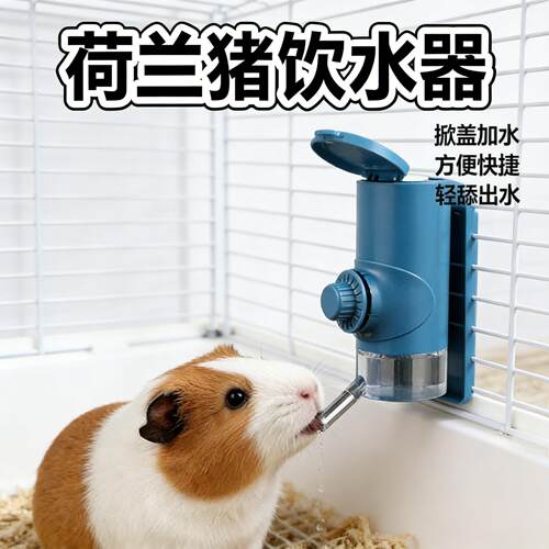 荷兰猪专用滚珠饮水器豚鼠防漏水大容量水壶喝水饮水瓶宠物用品
