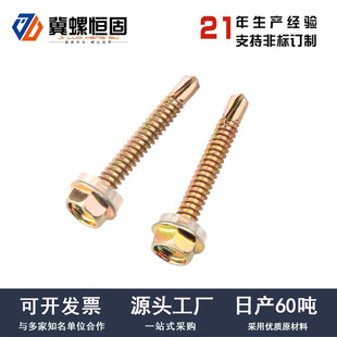 2023促钻尾螺丝外六角钻尾螺丝B螺钉镀彩燕尾钉 自攻自钻钻尾钉新