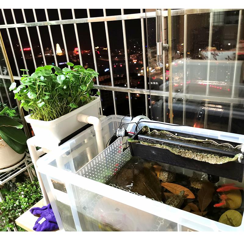 沼泽过滤箱盒DIY自制周转箱鱼缸鱼池龟缸专用鱼菜共生植物过滤器