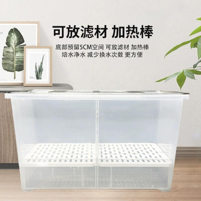 乌龟缸饲养隔离育苗盒沉淀板发色盒养龟隔离桌面温室温箱专用龟盒