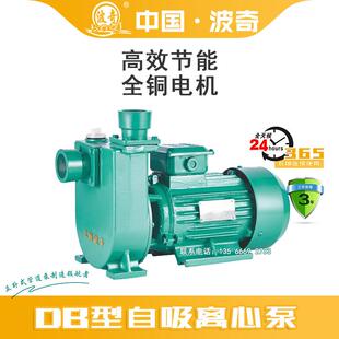上海波奇 DBH型自吸离心泵 大流量自吸泵1/1.5/2寸抽水泵高扬程泵