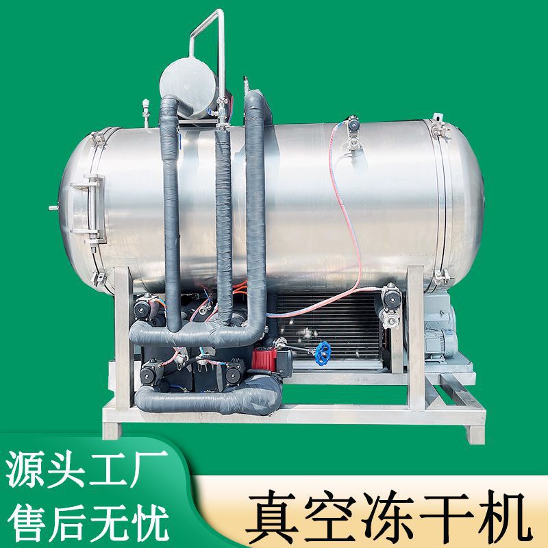 浆果桑葚真空冻干机 何首乌切片低温冷冻干燥机 真空干燥机现货