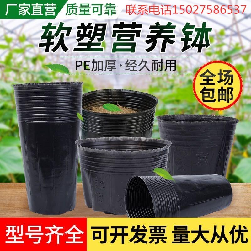 营养钵营养杯塑料育苗杯种植杯加厚大号一次性塑料杯荷花盆营养袋图片