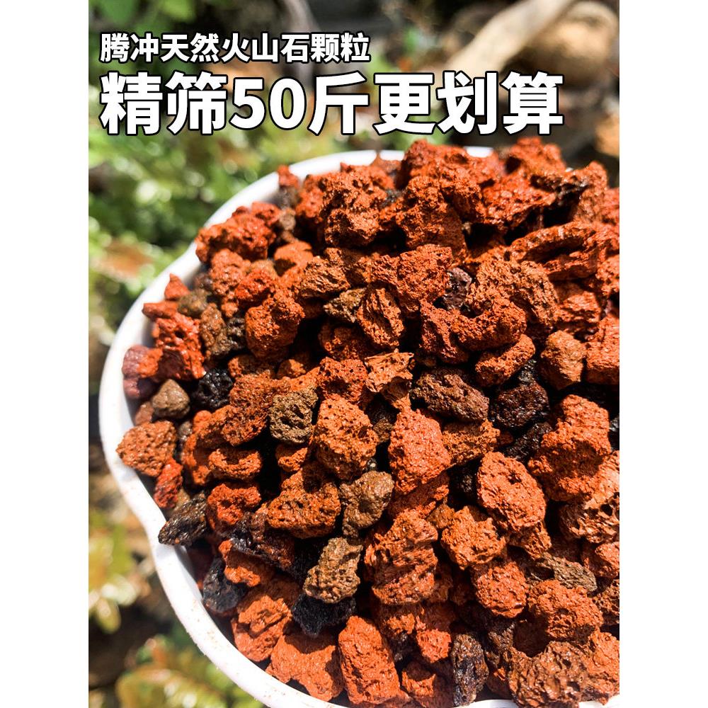 火山石颗粒50斤腾冲天然精筛温和弱酸性多肉兰花铺面鱼缸水族造景