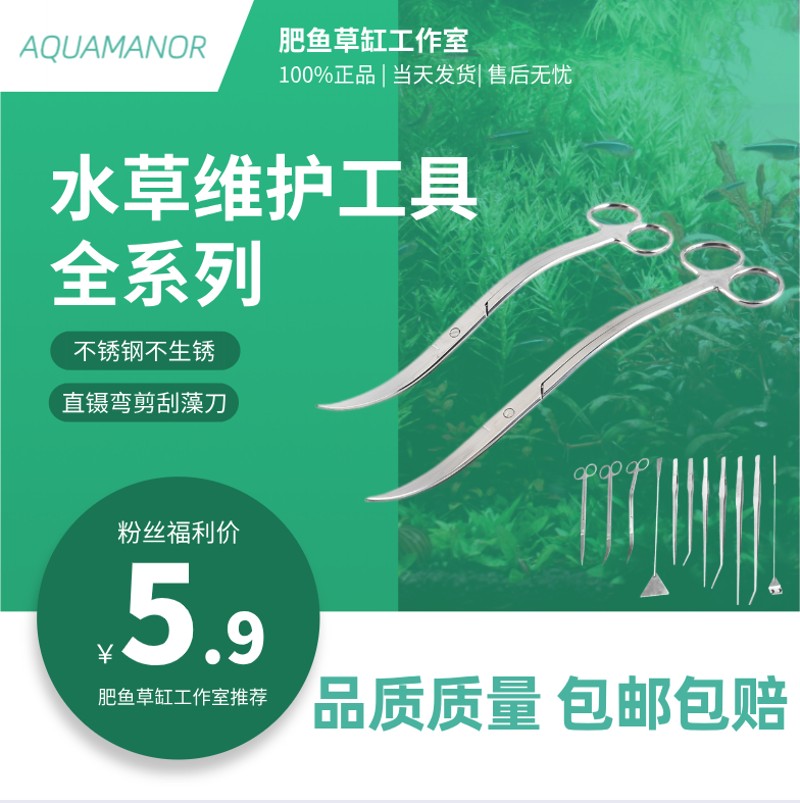 水草剪刀不锈钢鱼缸刮藻刀镊子草缸工具修剪弯剪鱼缸造景种植套装