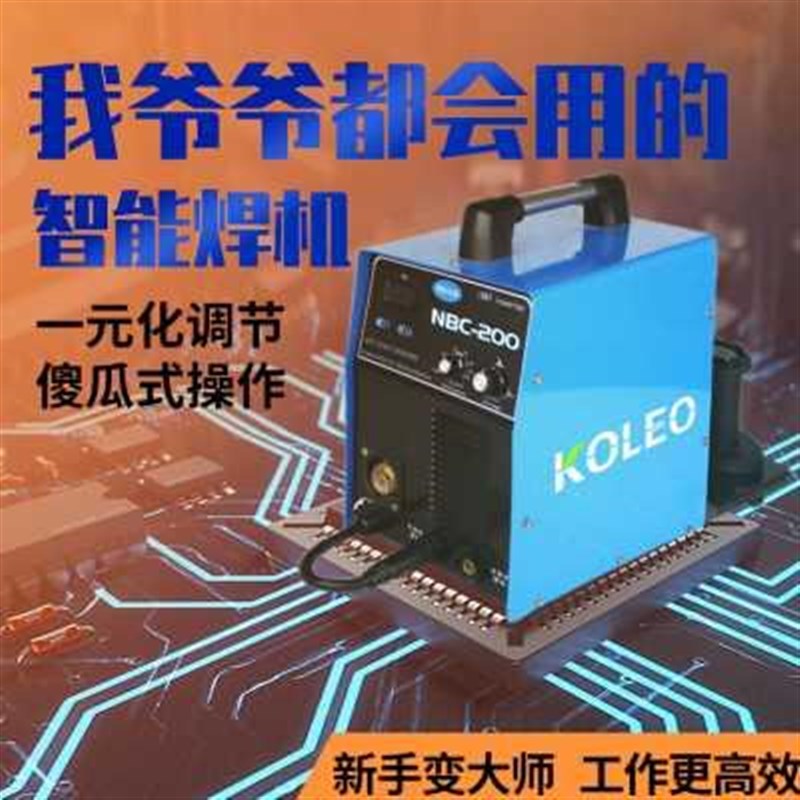 科雷奥无气二保焊机一体机220V小型F家用自保二氧化碳气保焊机两