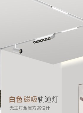 磁吸轨道灯led无主灯客厅照明暗装白色线形嵌入S式磁吸泛光灯射灯