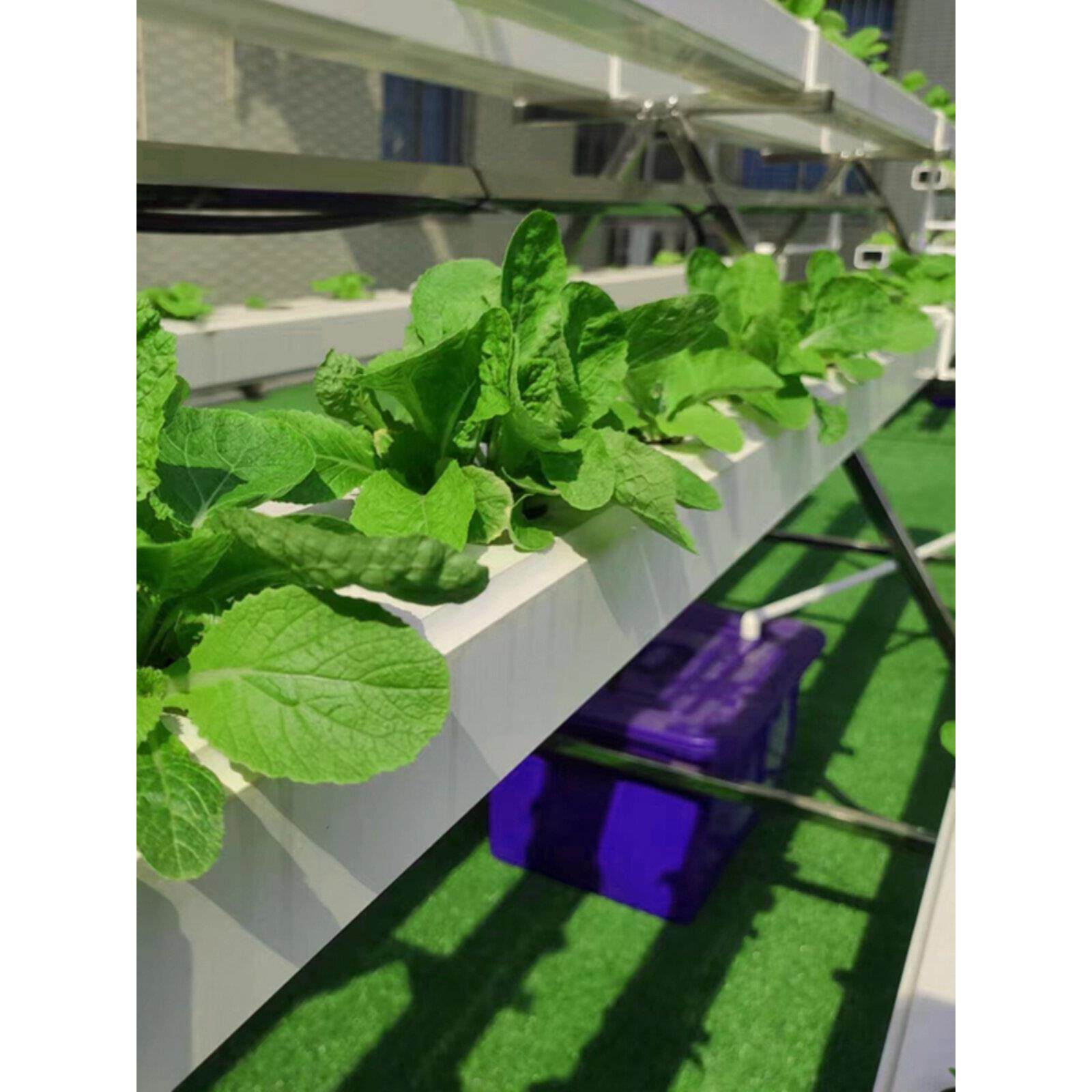 无土栽培蔬菜草莓种植半A字架水培设备阳台管道种菜机学校农场
