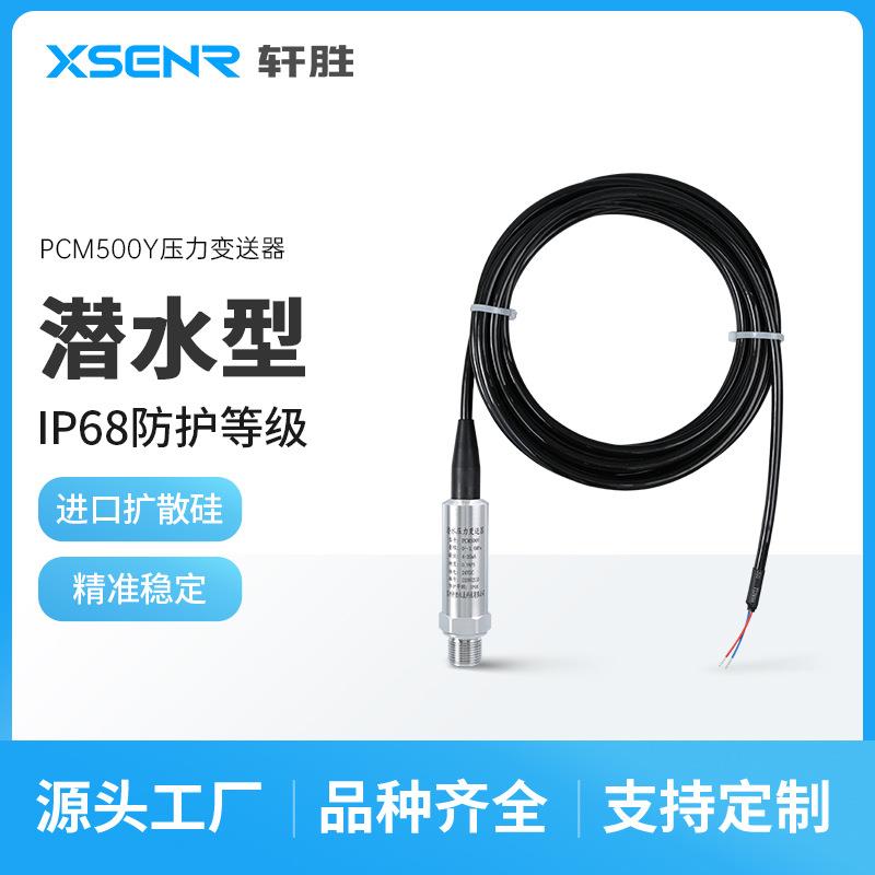 PCM500Y高精度潜水式IP68防护4-20mA压力变送器静压式液位变送器