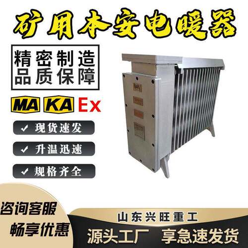 矿用隔爆电暖器RB-2000/127(A)铸铁散热恒温控温矿用电暖器