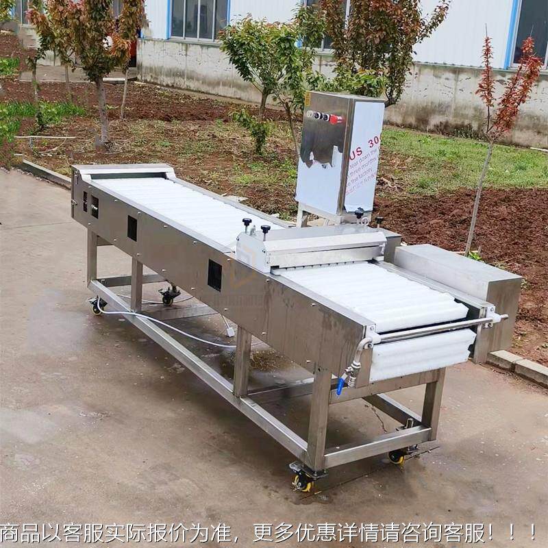 肠段机 切花肠机器 牛羊肠分切机 HZE卤肥肠切切段机 猪肠机切花
