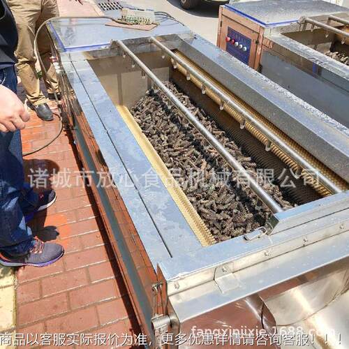 海参脱洗盐机清洗机钢厂家 不锈能毛FX-1500辊清洗机价格 多功海