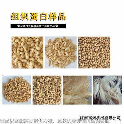 教实验用 水分高蛋白小产量双螺杆实验机真诺膨化食学品生GQO产设