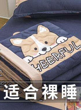 夏天盖的薄被子单k人被芯被子双人褥子水洗棉盖被夏凉被午睡春秋