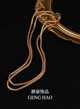 金色蛇骨方形项链女 小众设计款时尚多层合金圆形几何项链
