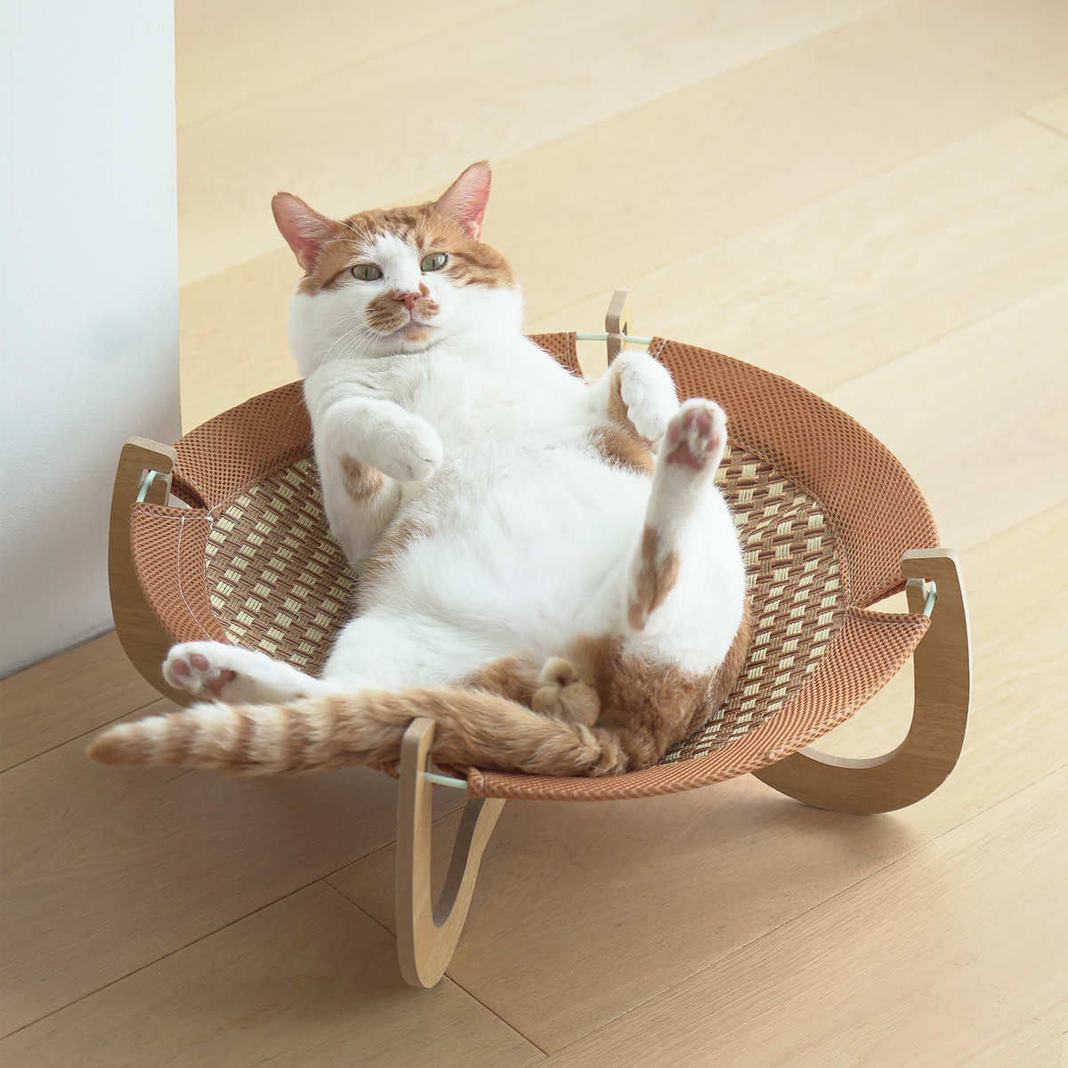 吊床拆洗木制行军藤编用品猫咪可狗窝防潮透气宠物垫凉席沙发