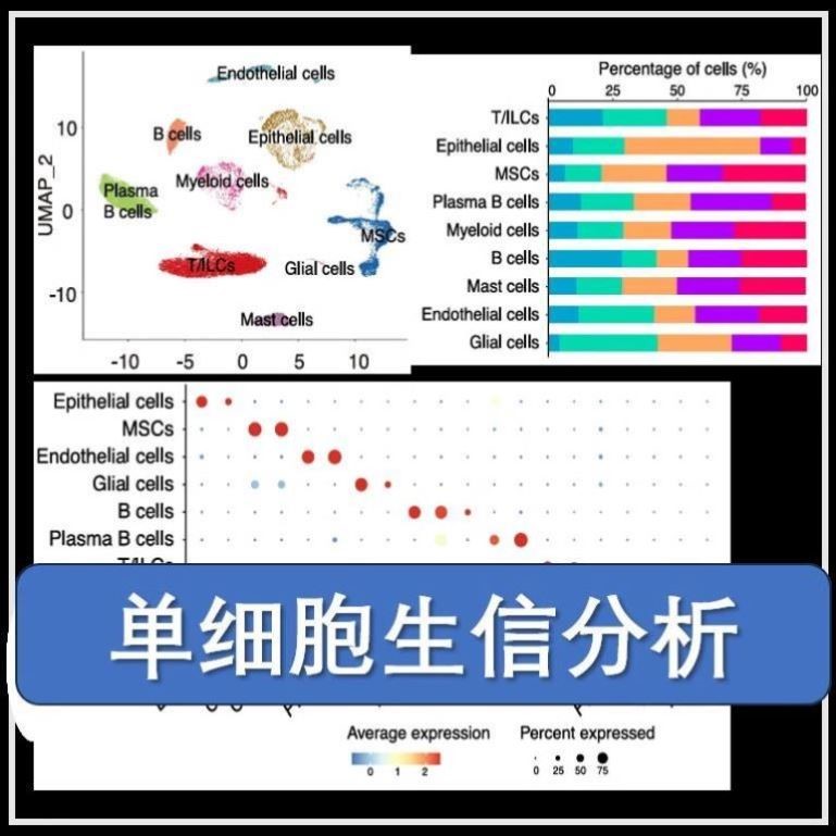 生信分析实验网络药理学单细胞实验转录组机器学习孟德尔随机化