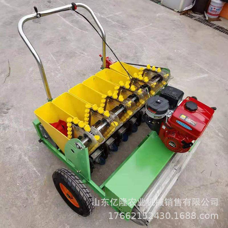 紫皮大蒜播种机手推式四行大蒜点播机汽油大蒜播种机