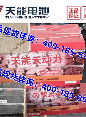 天能电瓶6-EVF-58.5电动三四轮车12V58AH铅酸蓄电池48V 60V免维护