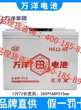 万洋电瓶6-EVF-71.8/80/100/110/120 6V220AH 8V150AH电动车电池