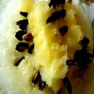 黑冠王打瓜种子大片瓜子瓜产籽西瓜南瓜种籽春夏季四季蔬菜种孑