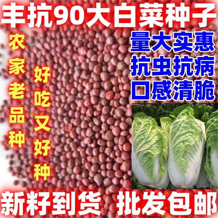 丰抗90大白菜种子丰抗90大白菜种子散装批发庭院田园白菜种籽,鲜花速递/花卉仿真/绿植园艺,家庭园艺种子,淘宝优惠券,粉丝福利购,淘宝优惠卷