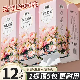 懸掛抽紙麗邦擦手紙大包家用抽取式 掛式 衛(wèi)生紙巾平板廁紙?zhí)嵝l(wèi)生紙