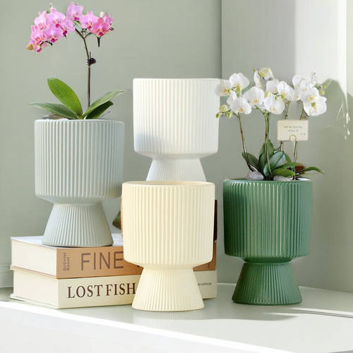 TEMU贴标花盆陶瓷带托盘蝴蝶兰专用兰花盆客厅多肉花盆亚马逊