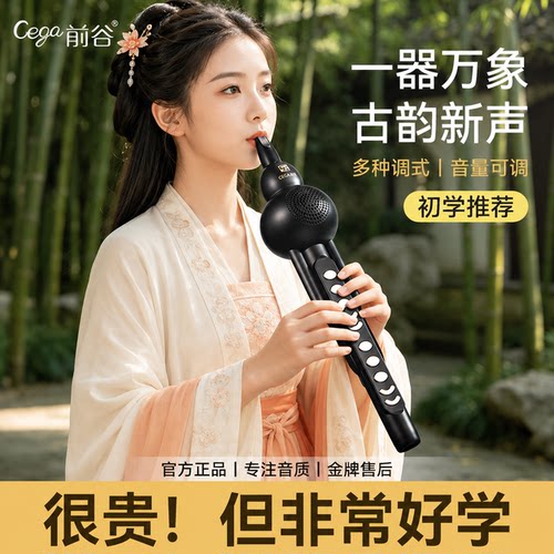 初学推荐中老年葫芦丝电吹管乐器