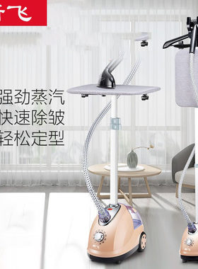 新飞大蒸汽小型手持正品挂烫机