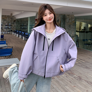 【档口有货】高品质风衣式外套裤子两件套2C079-2502-p175-k248图片