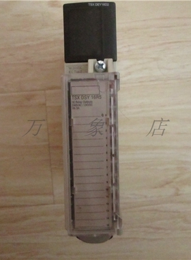PLC模块 TSXDEY16D2+TSXBLY01 （实物拍摄）SND