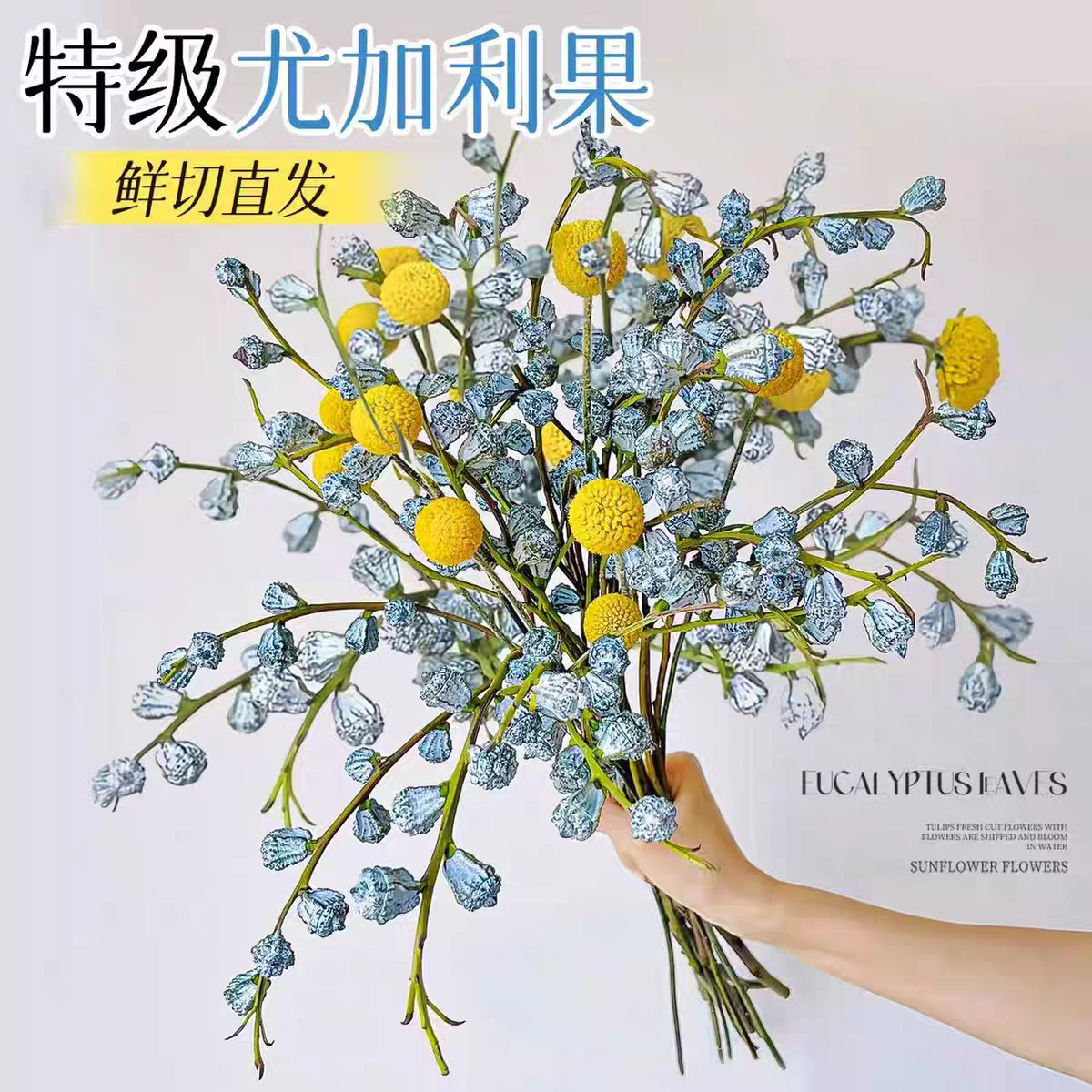 钻石尤加利果鲜花干花真花大枝