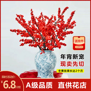特级北美冬青鲜切花红果鲜花盆栽真花水培植物发财果年宵花卉花束