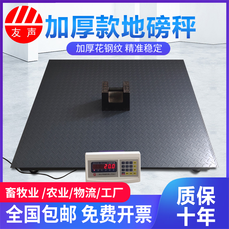 。上海友声电子地磅秤3吨小地磅1吨称猪称牛地磅工业物流电子秤5-封面